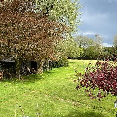 Horseford Lodge B&B South Molton Exterior photo