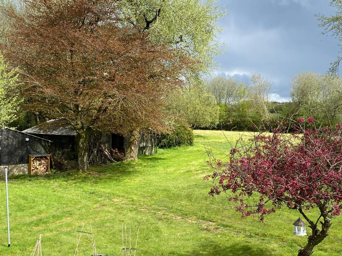 Horseford Lodge B&B South Molton Exterior photo